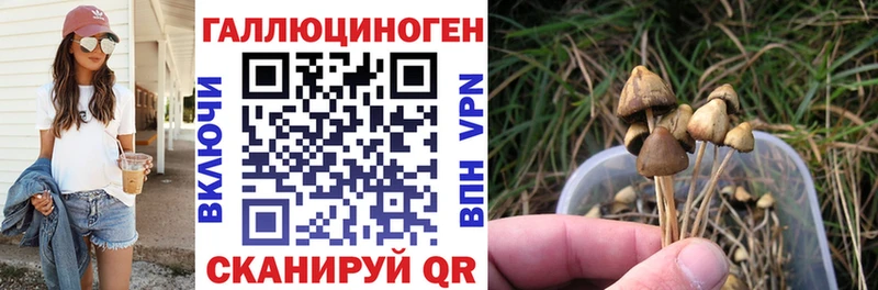 купить наркотики цена  Бикин  kraken ТОР  Псилоцибиновые грибы Cubensis 