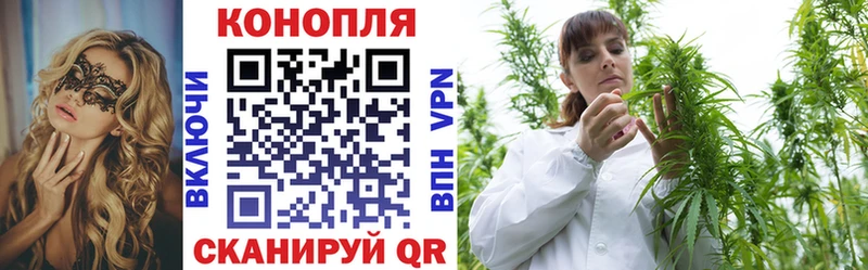 купить   Бикин  Конопля OG Kush 